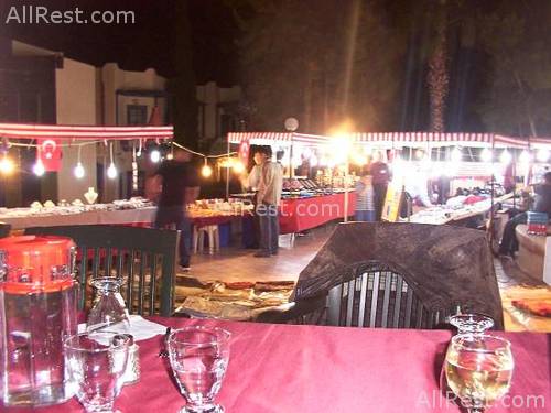 Coralia Club Milta 12